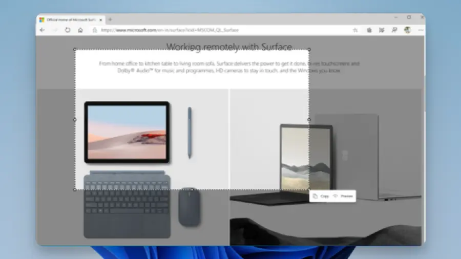 엣지 - Microsoft Edge Screenshot 02